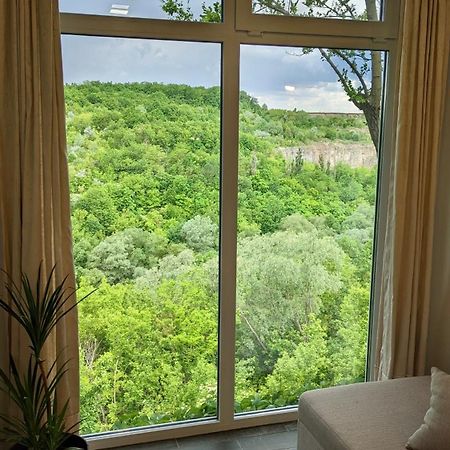 Сottage "Family Estate" Villa Kamjanets-Podilskyi Eksteriør billede